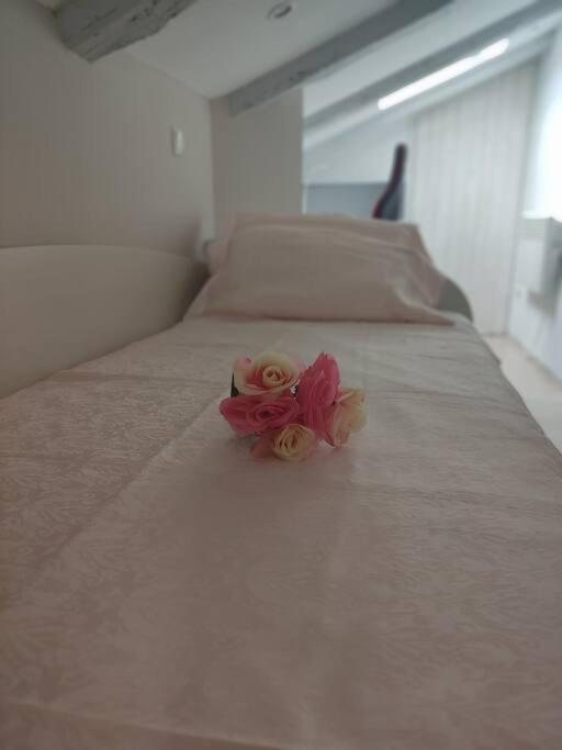 Bird View Apartment Carlissima Trogir Buitenkant foto