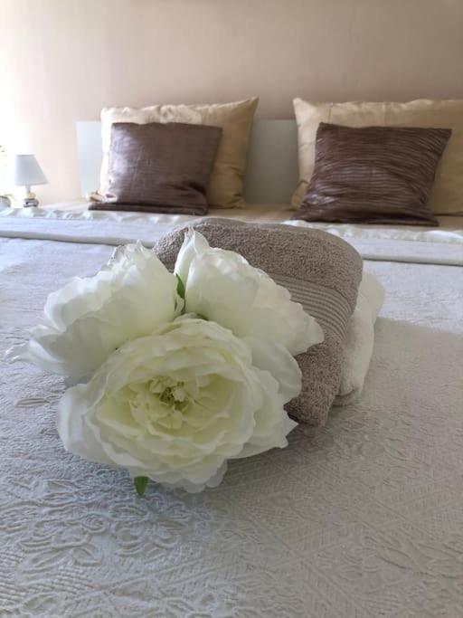Bird View Apartment Carlissima Trogir Buitenkant foto